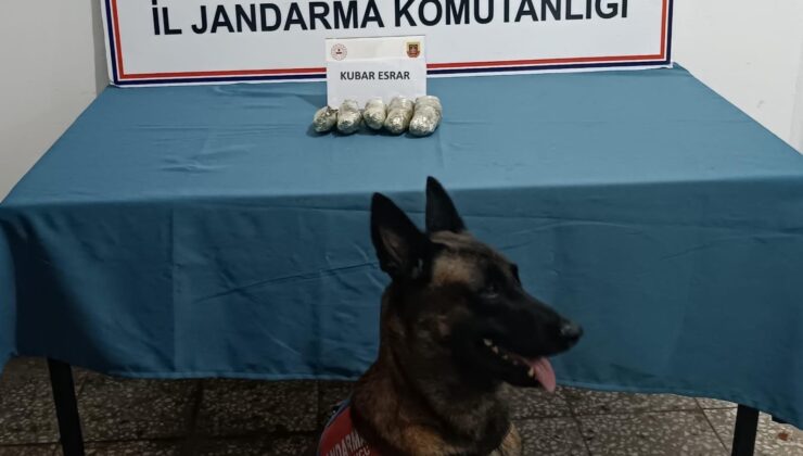 Osmaniye’de jandarmadan tarihi eser ve uyuşturucu operasyonu