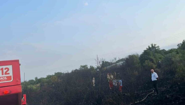 Osmaniye’de ormanlık alanda çıkan yangın söndürüldü
