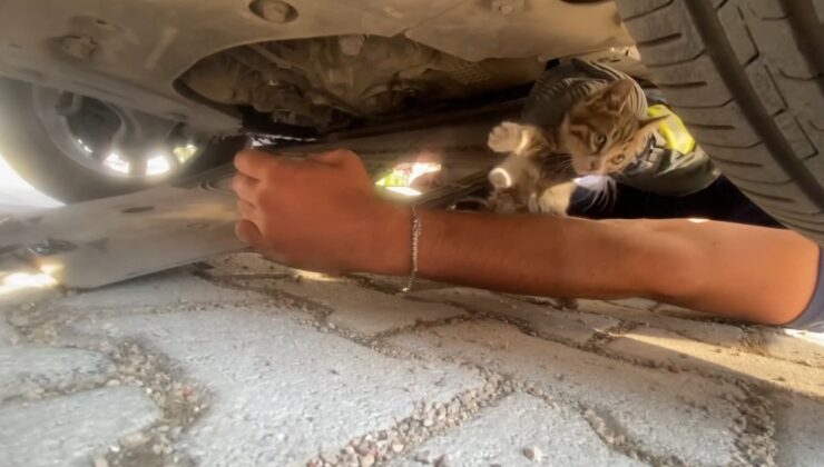 Otomobilin motoruna giren yavru kedi kurtarıldı