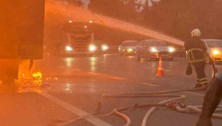 Seyir halindeki tır alev alev yandı