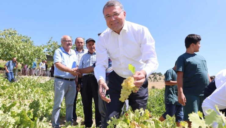 Silifke’de sofralık üzüm hasadı başladı