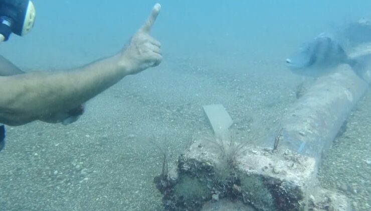 Sualtında parmak ısırtan arkadaşlık