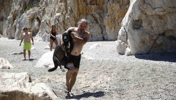 Tünelin altındaki koyda mahsur kalan köpeğe kurtarma operasyonu