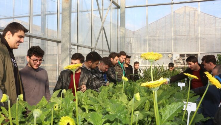 Türkiye’nin en çok tercih edilen Ziraat Fakültesi AÜ’den