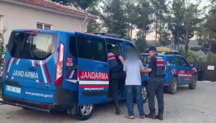 Üzüm bağları arasında uyuşturucu yetiştirmişler: 2 tutuklama