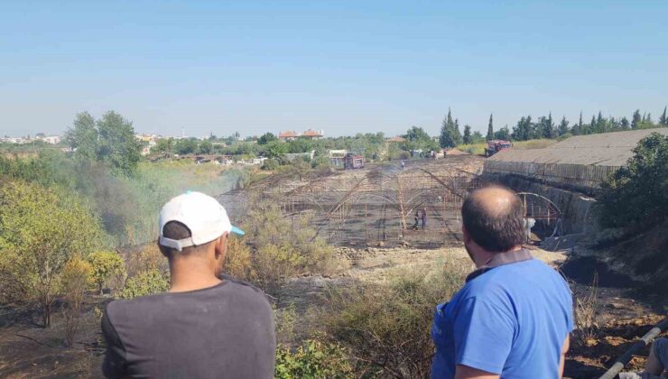 Zeytinlikte çıkan yangın evlere ulaşmadan söndürüldü