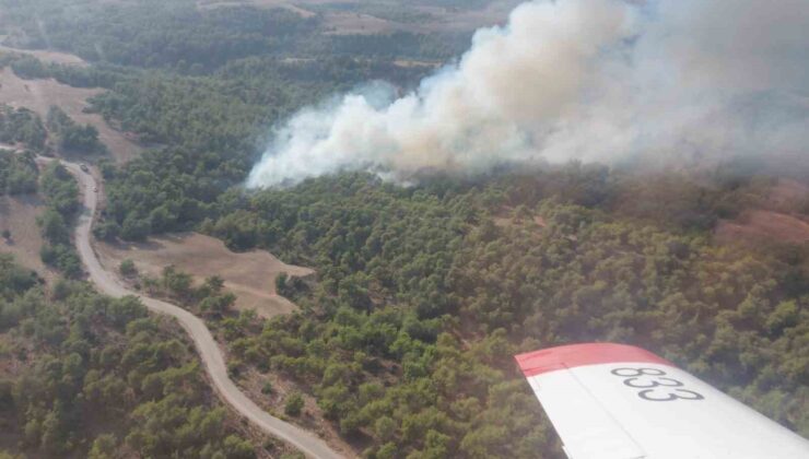 Adana’da çıkan orman yangını kontrol altına alındı
