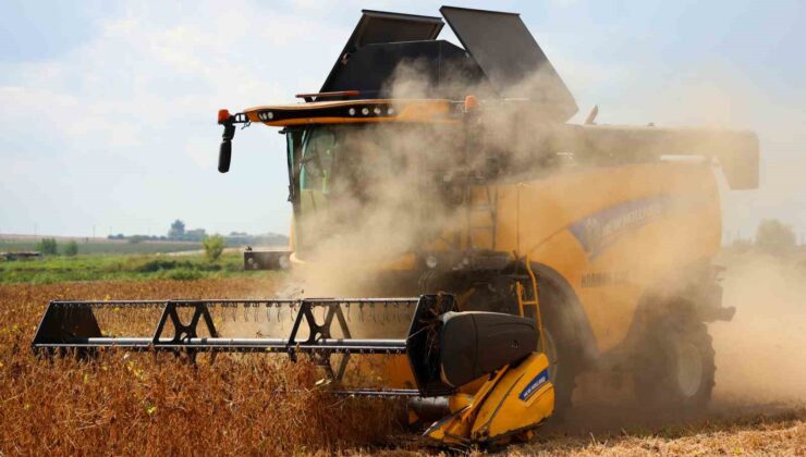 Adana’da soya hasadı başladı