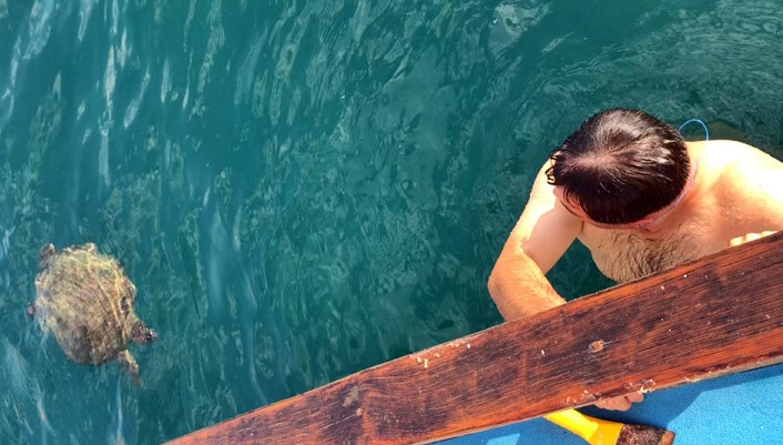 Alanya’da denizde şaşırtan karşılaşma: Dev carretta caretta ile 1,5 saat yüzdüler