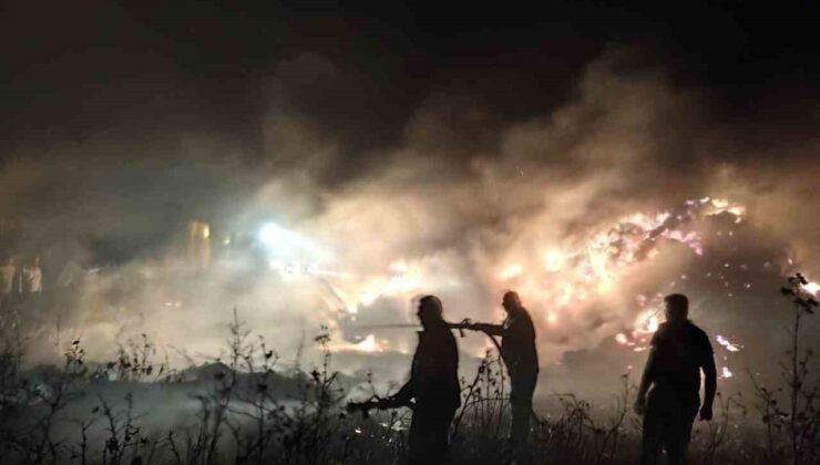 Antakya’da samanlık yangını