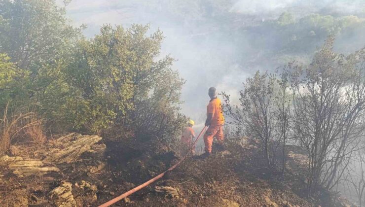 Antalya’da orman yangını