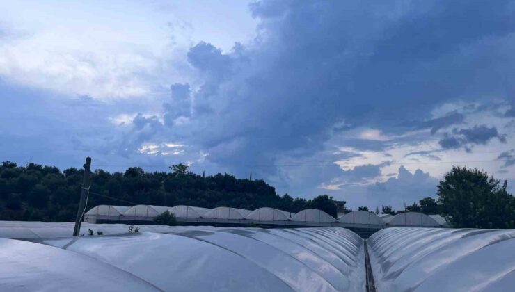 Antalya’da serada çalışırken elektrik akımına kapılıp ağır yaralanan gençten kötü haber