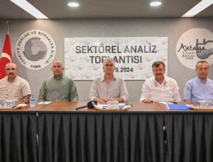 Antalya’da zeytin rekoltesinde geçen yıla göre yüzde 30 artış bekleniyor