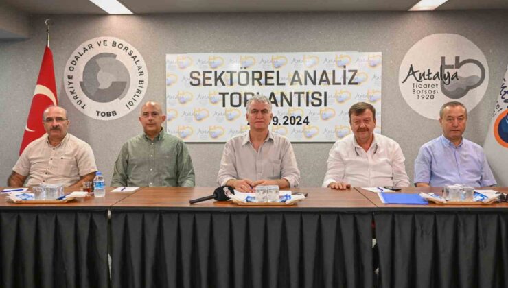 Antalya’da zeytin rekoltesinde geçen yıla göre yüzde 30 artış bekleniyor