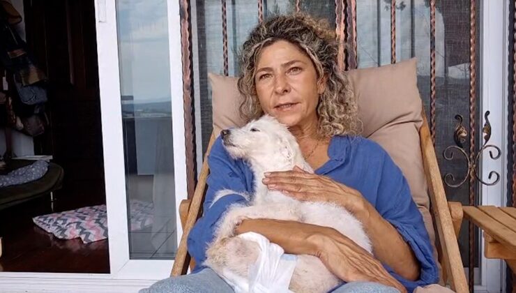 Arka ayakları kesilmiş halde bulunan köpek yeni yuvasına kavuştu
