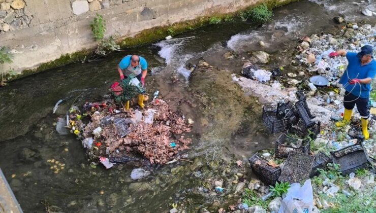 Başkan Dal: “Temizliği ile örnek bir ilçe olmak için doğayı koruyalım”