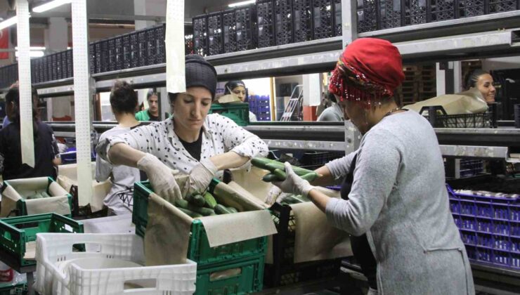 Batı Akdeniz’den 8 ayda1 milyar 765 milyon dolar ihracat