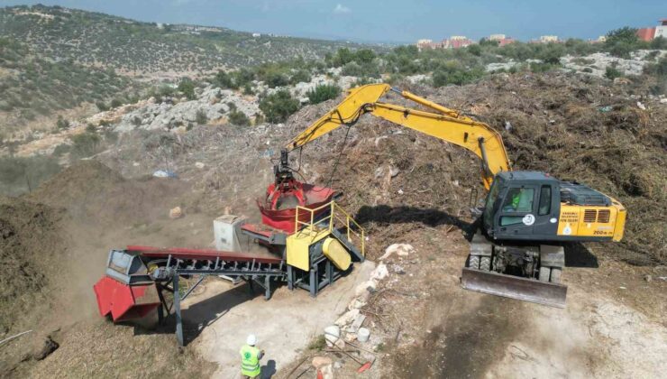 Bitkisel atıklar gübre oldu, üretilen 3 bin fidan öğrencilere hediye edildi