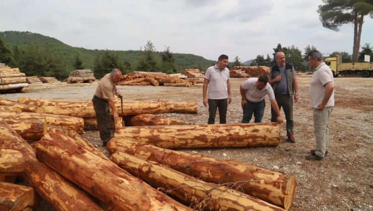 Bölge Müdürü Ataş, Tarsus’ta ormancılık faaliyetlerini inceledi