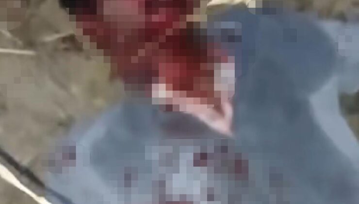 Çocuğu taciz etmeye çalışan şahsı hastanelik ettiler