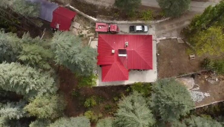 Feke’de sedir ormanı manzarası mest etti