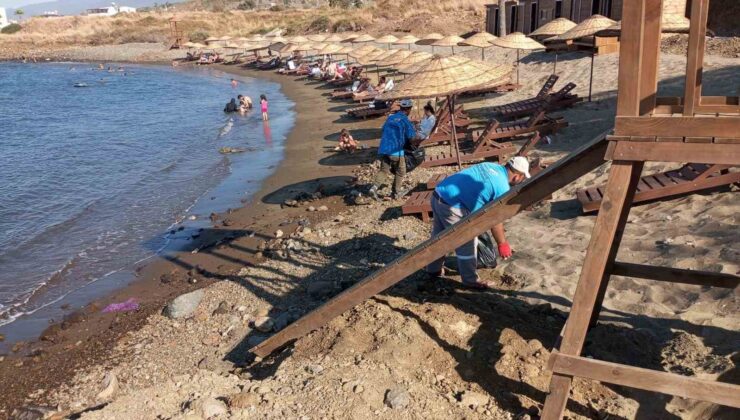 Hatay’ın 158 kilometrelik sahil şeridinde hummalı temizlik