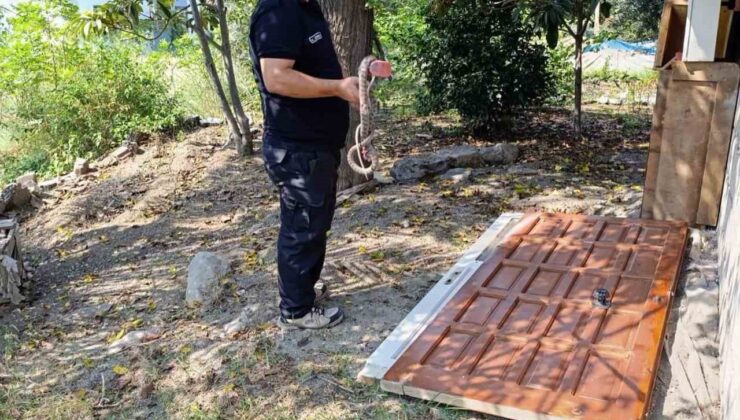 İskenderun’da eve giren yılanı itfaiye ekipleri yakaladı