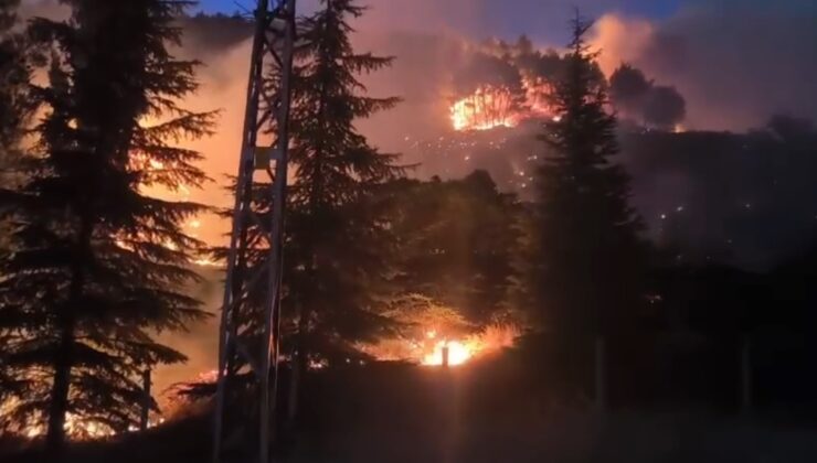 Kahramanmaraş’taki orman yangını kontrol altına alındı