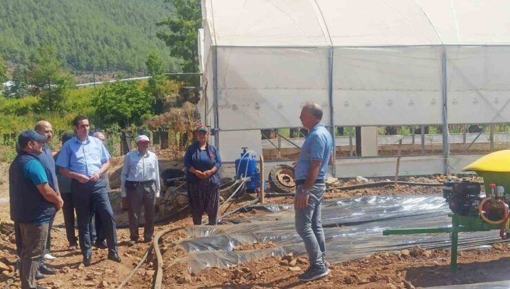 Kaymakam Topsakaloğlu, çilek serasında incelemelerde bulundu