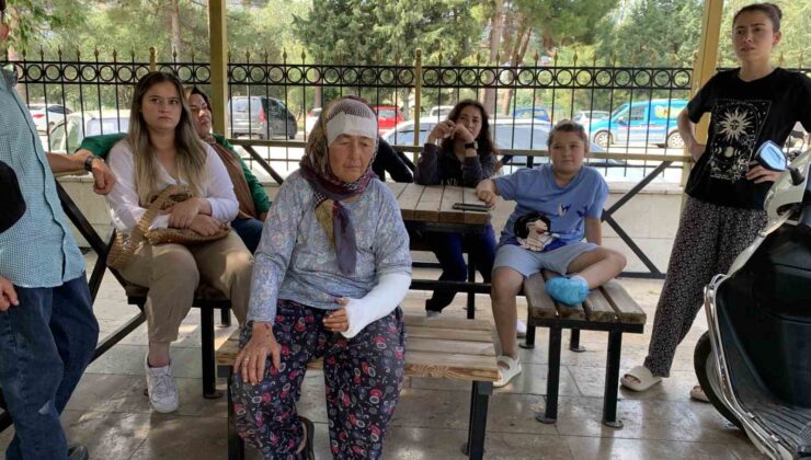Keçileri otlatmaya giderken husumetlisi tarafından darp edilen kadın kanlar içinde kaldı