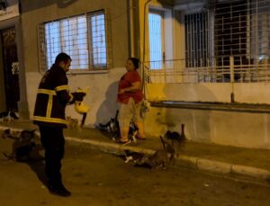 Kedi üzerinde koli bandıyla kaçtı, itfaiye yardım için kovaladı