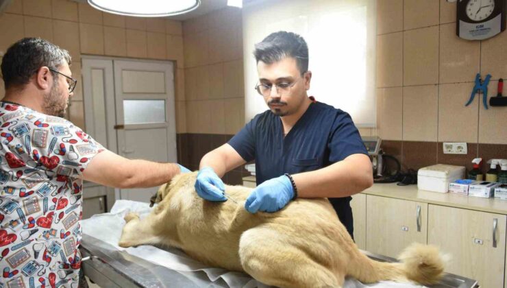 Kepez’den can dosta sıcacık dokunuş