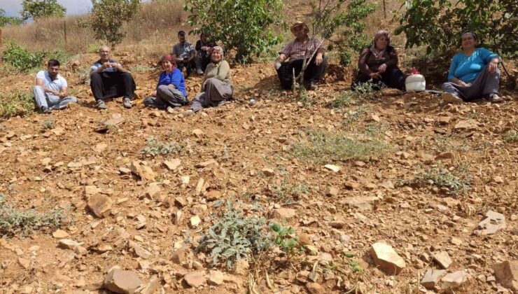 Lezzeti tescilli Tufanbeyli fasulyesi ilçe sınırlarını aştı