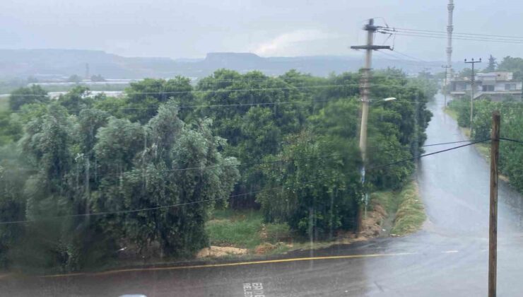 Mersin’de sağanak etkili oldu, yıldırımın isabet ettiği ağaç yandı