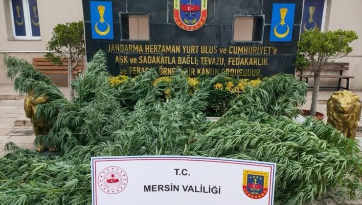 Mersin’de uyuşturucu madde operasyonu: 3 gözaltı