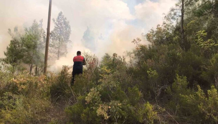 Osmaniye’de ormanlık alanda çıkan yangın büyümeden söndürüldü