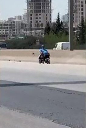 Tekerlekli sandalye ile otoyolda ilerledi