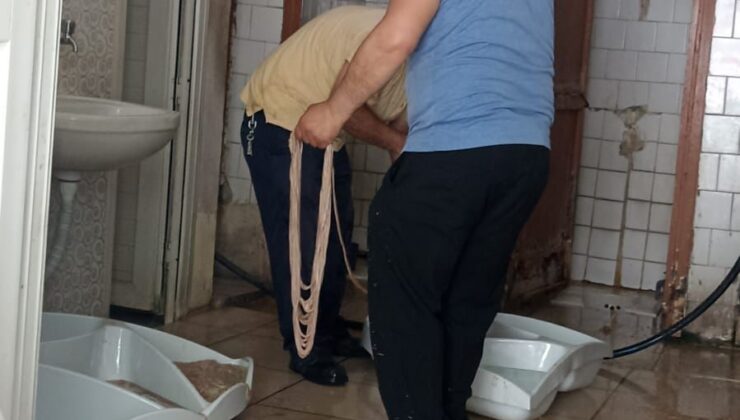 Umumi tuvalette bağırsak temizlediler