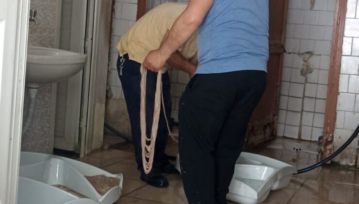 Umumi tuvalette bağırsak temizliği cezasız kalmadı