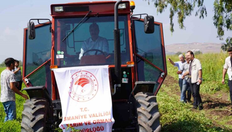 Yer fıstığının başkenti Osmaniye’de hasat başladı