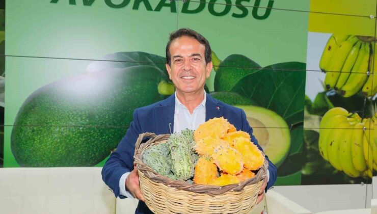 YÖREX coğrafi işaretin kapısını açtı, 119 ürün sayısı 1632’ye yükseldi