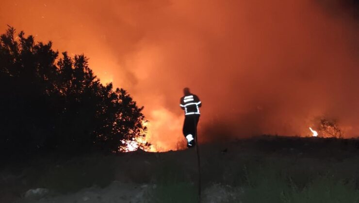 Antakya’da ormanlık alanda yangın