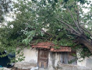 Antalya’da çıkan hortum ev ve seralara zarar verdi