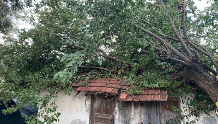 Antalya’da çıkan hortum ev ve seralara zarar verdi