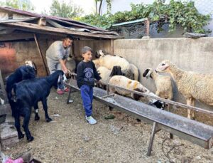 Arabasını satarak hayvancılığa başlayan depremzede baba ve böbrek hastası 2 evladının umudu olan 22 koyunu polis ekipleri buldu
