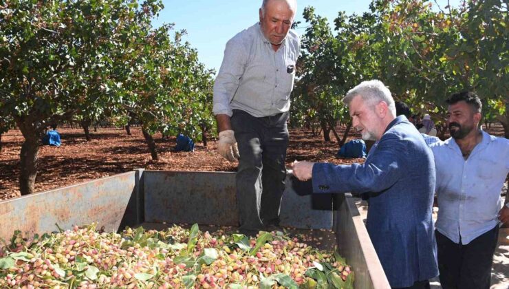 Başkan Görgel: “Pazarcık Fıstığı’nın tescili için gerekli süreçleri başlatıyoruz”