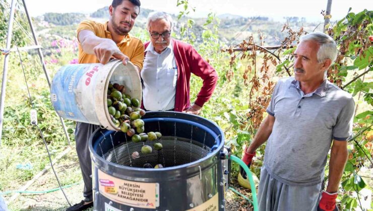Belediyeden üreticilere ’ceviz soyma makinesi’ desteği