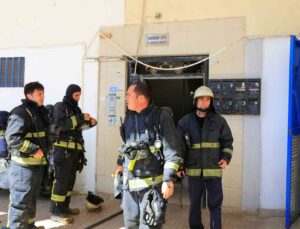 Bodrum katta çıkan yangın sonrası yavru kedi alarmı