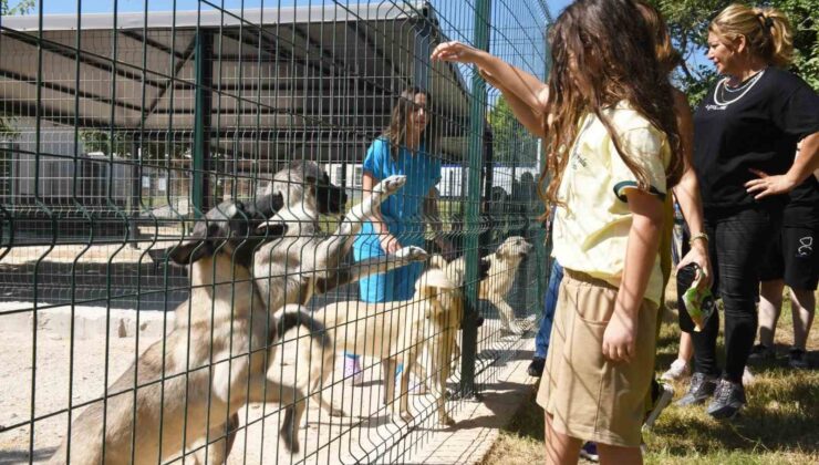 Çocuklar hayvan bakımevini gezdi