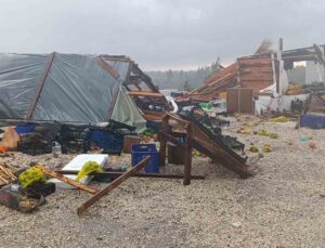 Fırtına ve şiddetli yağmur tezgahları yerle bir etti